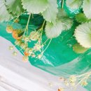 부창농장 이미지