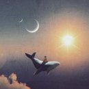 헤르츠52