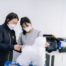 오드리펫 이미지