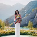 승풍