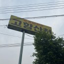 주간일기_ 2025년 5월 4주 : 모두 다 꽃이야, 계란후라이같은 샤스타데이지