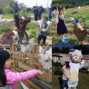 희망농장1 네이버블로그