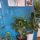 삼일로29번길 이미지