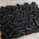 유유농산 이미지