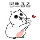 DSLR존 이미지