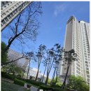 다산앤공인중개사사무소 | 광교 자연앤힐스테이트, 지금 사도 될까? 실거주 수요가 몰리는 진짜 이유와 주의점