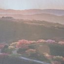 다정여인숙 이미지