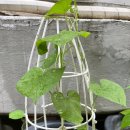 밀키웨이 이미지