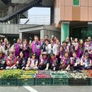 상록공원 게이트볼장 이미지