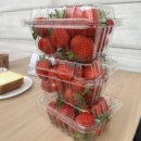 대림3농장 이미지