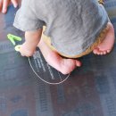 송수농장 이미지