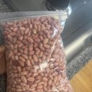 견공작소 이미지