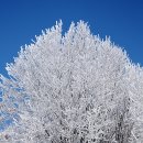 설국유람 - 검단산 이미지