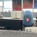 쭈나니구이치킨 | [2024.08.01-09.30] 8-9월 돌아보기