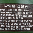 탄현6단지삼거리 ∼ 탄현16단지1607동앞 | 백제 마지막 왕성인 부여 부소산성(扶蘇山城) (with 낙화암과 고란사)