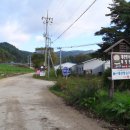 대관령 사파리 목장 이미지