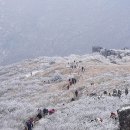 강산 - 성남시 분당구 판교로 442 | 강산