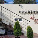 마리네 동물병원 이미지