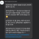 웰케어동물병원 이미지