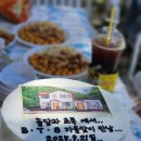 돌담과 초록 | 돌담과초록 행복하게 BTS (베들링턴테리어 모임)