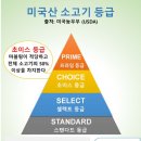 🍖소고기 아롱사태 2kg, 아이들 소고기 반찬, 행복미트 아롱사태 후기