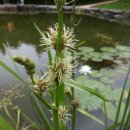 토산1리 이미지