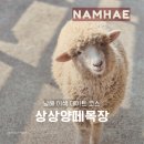 남해 상상양떼목장 특별한 이색 데이트 코스