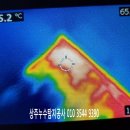 아리랑로 이미지