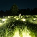 힐링보태니컬아트 | 오사카 팀랩 보태니컬 가든 완벽 가이드｜야간 빛의 정원 &amp; 입장권 가격 정