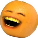 초여라이프
