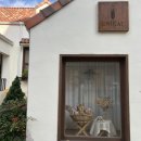 마포-상암-마포-667 | [주간일기 챌린지] 11월 셋째주