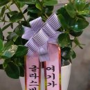 크라운호프 여수장성마을점 이미지