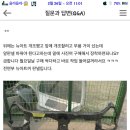 중고자동차 부품 ㅋ 사이트 좋은곳잇나용 ? 이미지