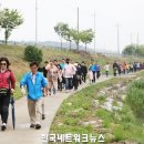 합덕 이팝나무 이미지