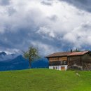 알프스 농장 이미지