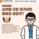 그림성형외과의원 네이버블로그