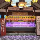 [제주] 공항근처맛집 &#39;털보네장원랜드&#39; 장어덮밥 내돈내산 후기 (히쯔마부시)