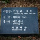 조형과 운동 이미지