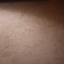 아우성생오리 이미지