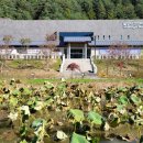 삼척 영은사 석가삼존도와 복장유물 | &lt;평창군&gt; 오대산 월정사 성보박물관, 대한불교조계종 제4교구 60여 개 사찰에 봉안된 성보문화유산을...