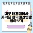 대구 애견미용사 자격증 한국애견연맹 알아보기
