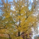 삶님 안녕하세요 이미지