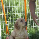 아임버디 이미지