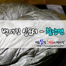 극동드라이크리닝 | 백초의 백패킹 입문서 - 백패킹 침낭편