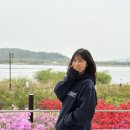 서울 근교 대형카페 고양시 행주산성 오페라 디바스 내돈내산 솔직후기