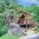 봉포레이크글램핑&오토캠핑장 이미지