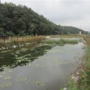 경안천 초부리 이미지