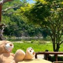 테라스의 아침2 이미지