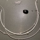 집떠나길위에서서-松 | 9월 2주 한국 여행 💫 시그니엘 &amp; 포시즌스 호텔 후기