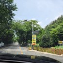 형주네 바다이야기 이미지